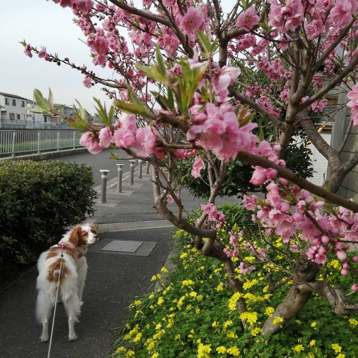 3c357507 2c68 43a4 9d51 c436a16a5cb1 1583755151923