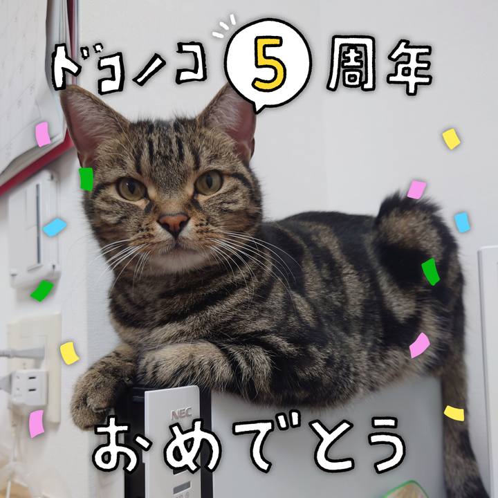 3c358d6e 729b 4f13 9e96 ddc10bcc3f7a 1622861196775