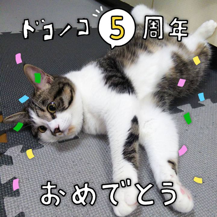 3c35a15e 6610 4582 bfd4 6f8f99bc66f2 1622899706796