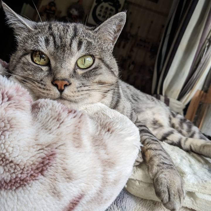 3c35b714 8536 43c0 8acc 9e090e2579b9 1699064655076