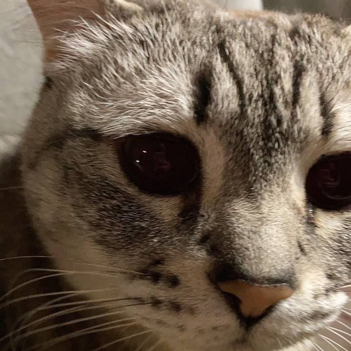 3c35f956 aec2 4edd 9f22 40781de9d3ed 1683814743739