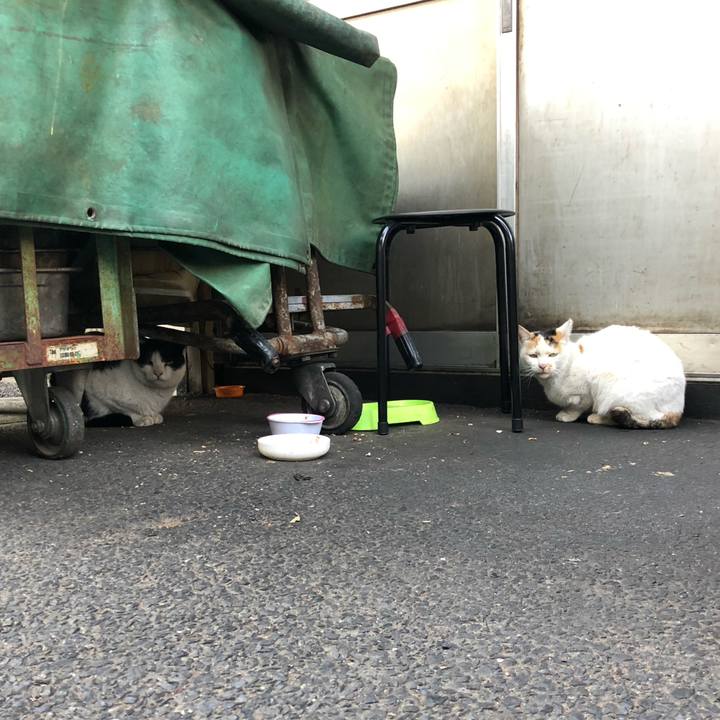 3c360a48 0501 455f 8fff 4e816cee964b 1612106079951