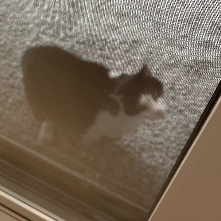 3c362bd5 7054 4518 8c8c b758efb357ba 1762990814331