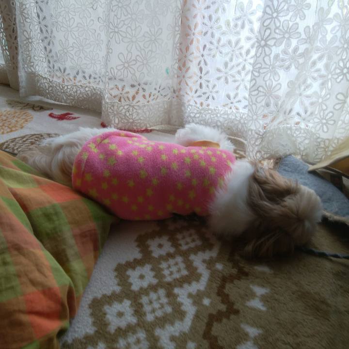 3c363ba8 5196 4e40 bf5a b78877a5c5ab 1510184200076