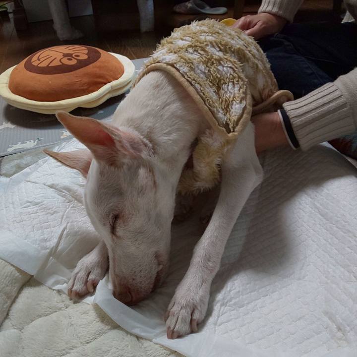 3c364b98 78db 4c00 a2c3 5e6e399e2b6b 1609932808044