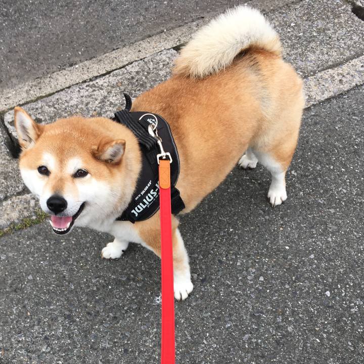 3c3670d7 7bab 4431 a961 89d340905da6 1591237206932