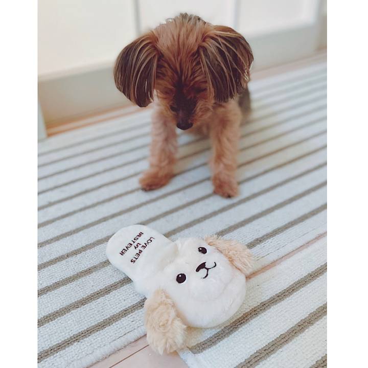 3c369ee3 5da0 43c7 8927 08ddee9dbf5d 1640561020507