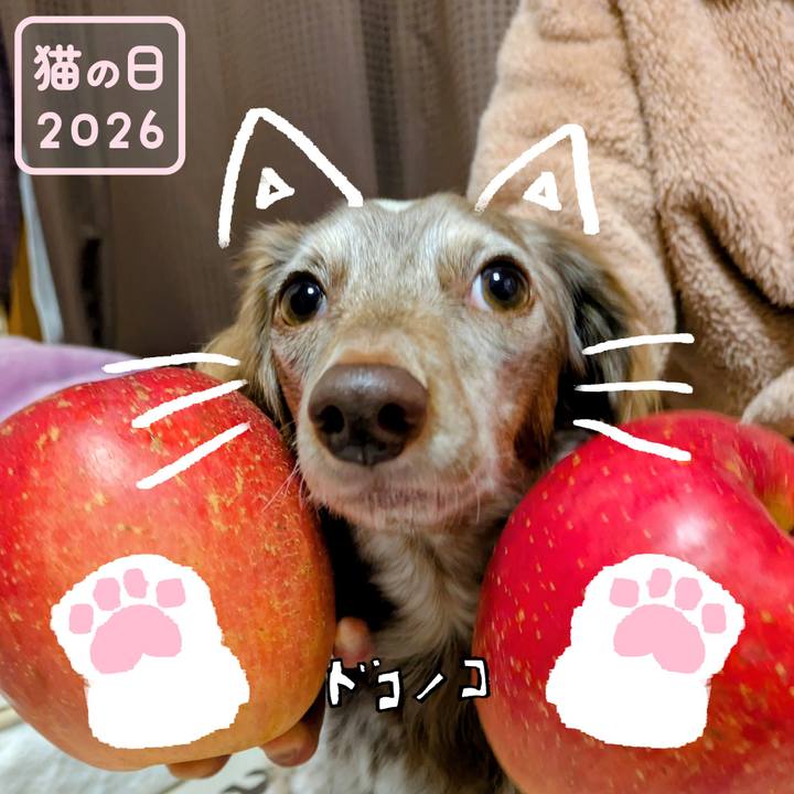 3c36a5ad ac7e 4ba4 8f3b d9df27dd97b6 1771730057076