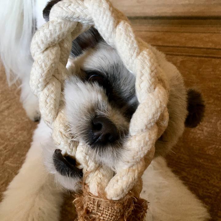 3c36c7e1 3388 4d64 8b76 e0038b610c4a 1519103301501