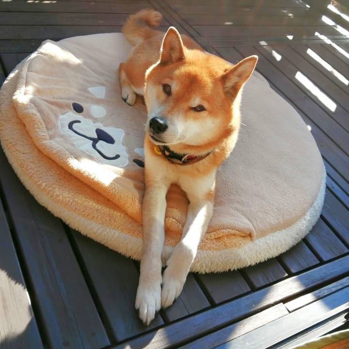 3c36d4ab 5171 44f1 b79b f0a8cc2b110a 1676613685758