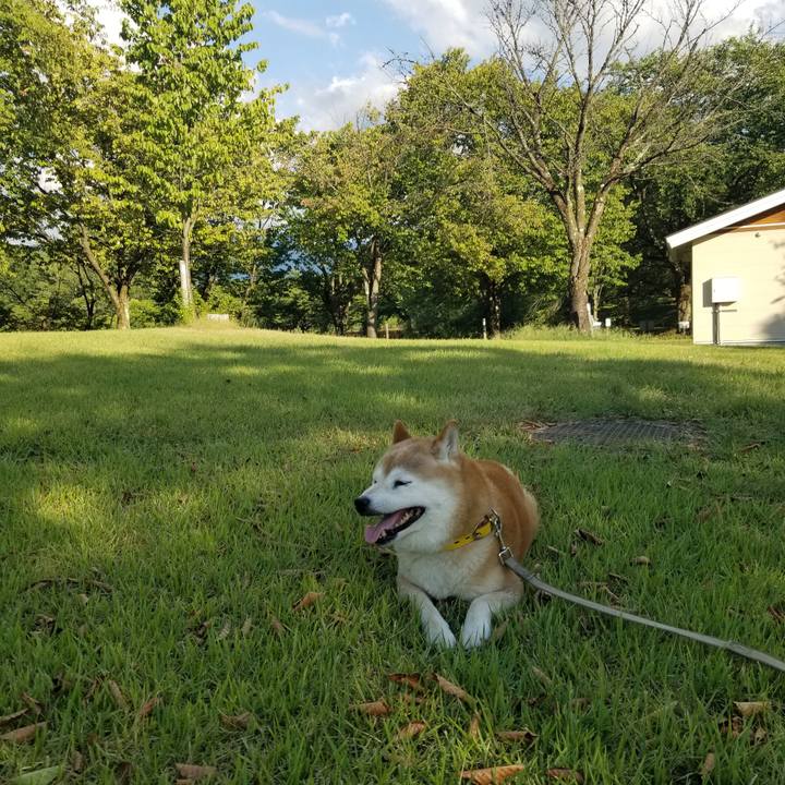 3c36fb0c 8a4d 4564 b3e0 7b40385ff6a3 1692948706151