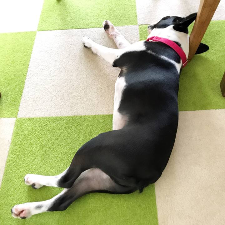 3c3716d9 1347 4e18 a4ca 338e14c94d32 1526948306169