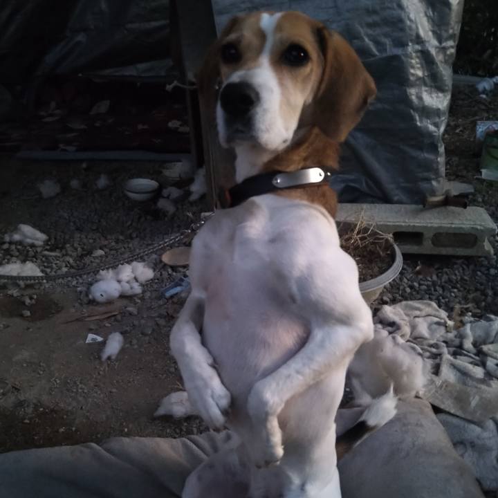 3c3739a9 da15 4112 9c08 76073f22549e 1637137746004