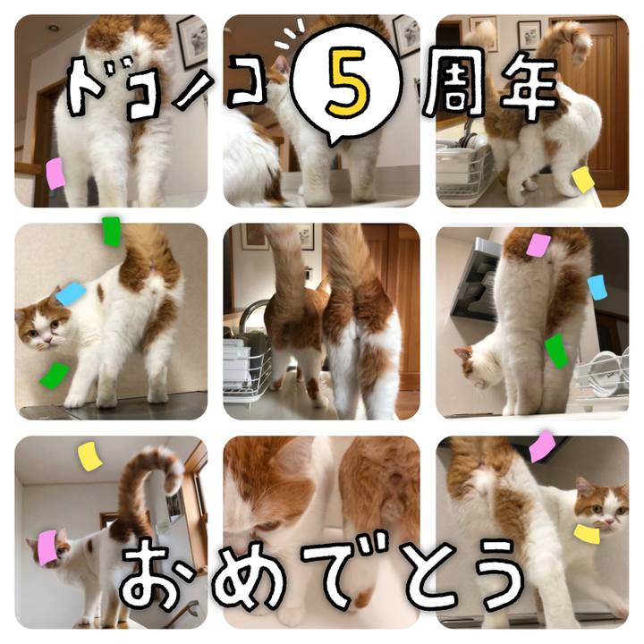 3c37697d d464 49b8 b434 c5e3f7bb642a 1622866593027