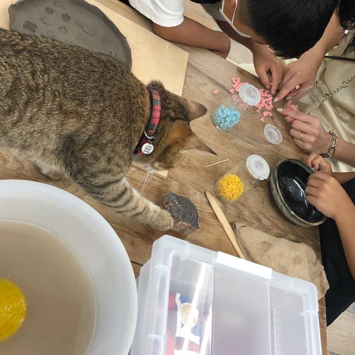 3c377528 8270 4a45 ae73 2931543e26fb 1661216941140