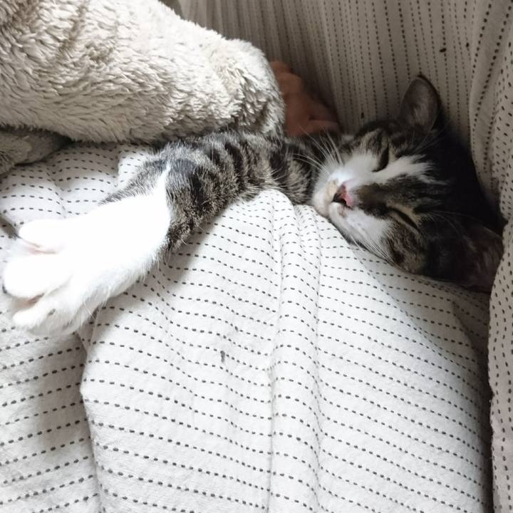 3c379291 9f2e 4aec 83c2 056669107330 1514200055568