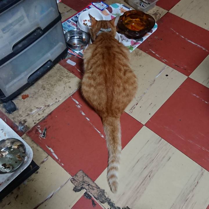 3c37f6d6 582d 40f5 a748 0d832d00431e 1595246728865