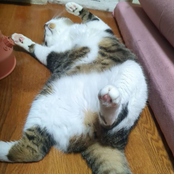 3c38180c 32b8 47de a269 d173b29af7e5 1720181363198