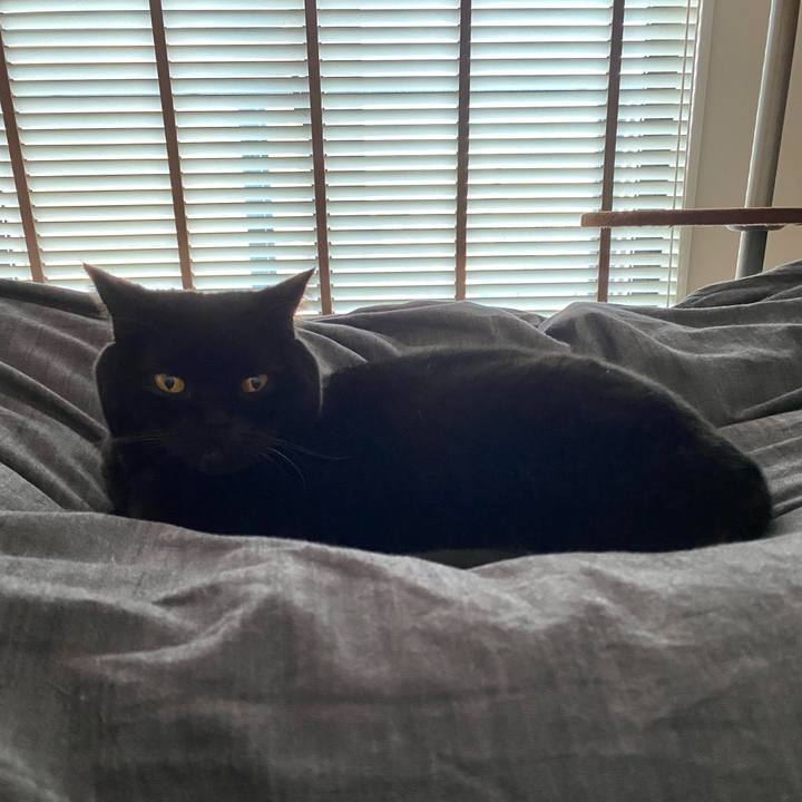 3c381a15 51c0 4699 9229 83ba419ae040 1768028056004