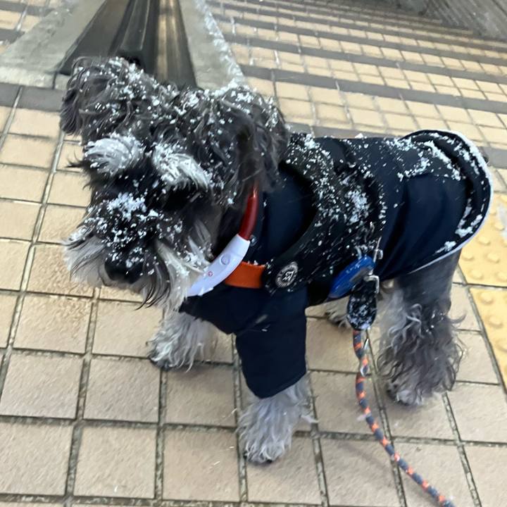 3c383e59 a079 42d4 9341 cd0f8137c5c2 1740138234970