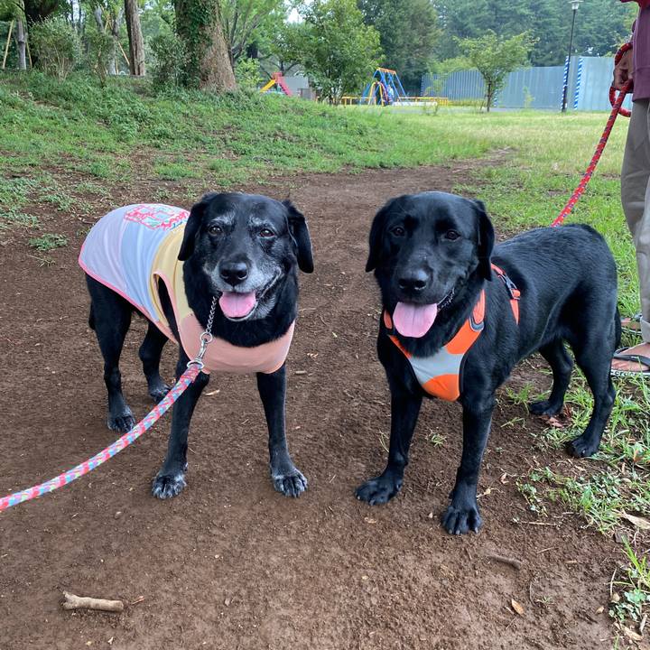 3c387199 4015 4fec aa49 a348884987da 1630461201722