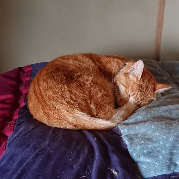 3c38a5c7 84ad 474a bcec 29ebfbbac70b 1592103482419