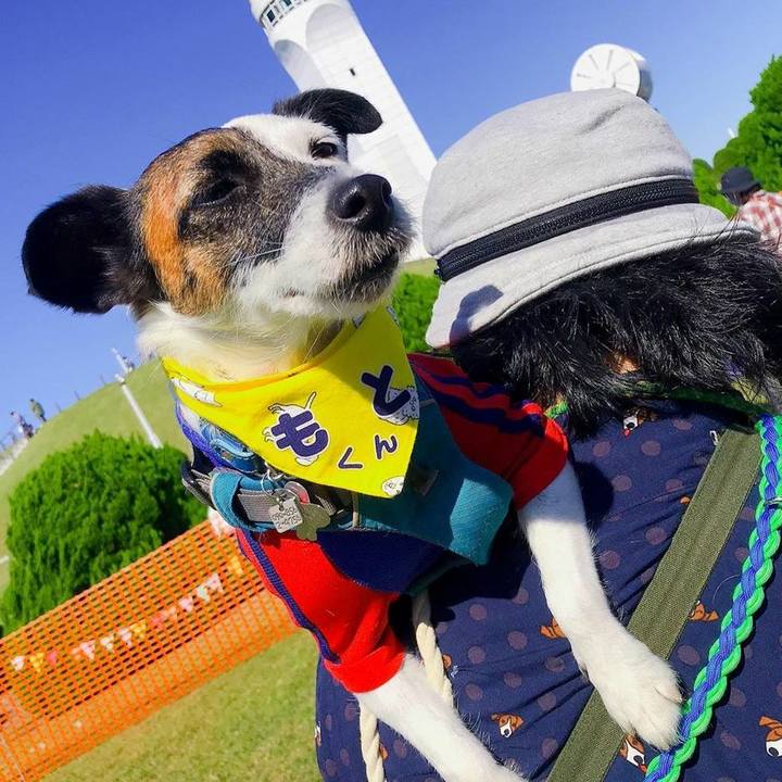 3c38c6cb fb57 48b2 98f2 71e0c2b62c72 1603621078912