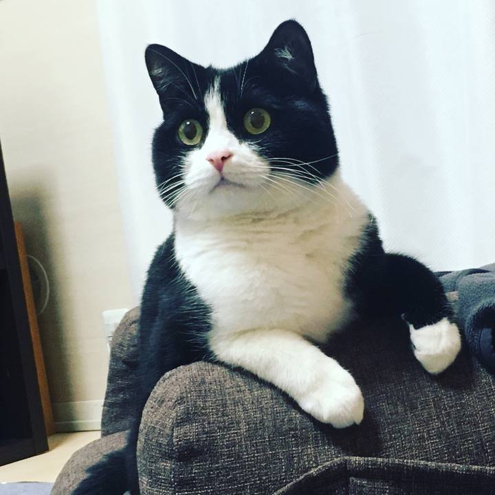 3c3904cc a6da 47db 9d91 7b79d2db2b5b 1602936777902