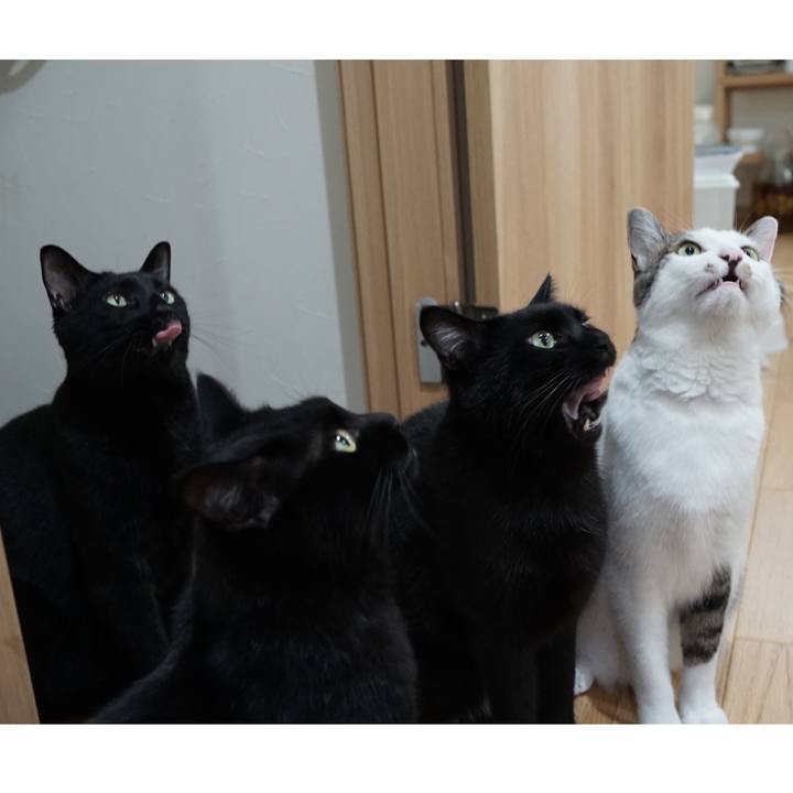 3c396575 4d96 4a2b b3ab bbee8779ca8c 1564616545830