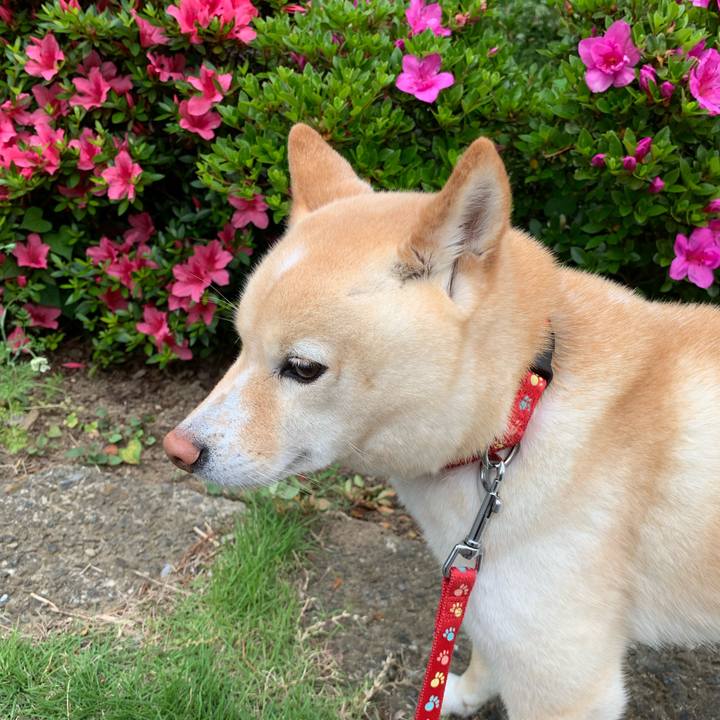 3c396f27 b264 4647 a303 7e122eb44798 1654124239541