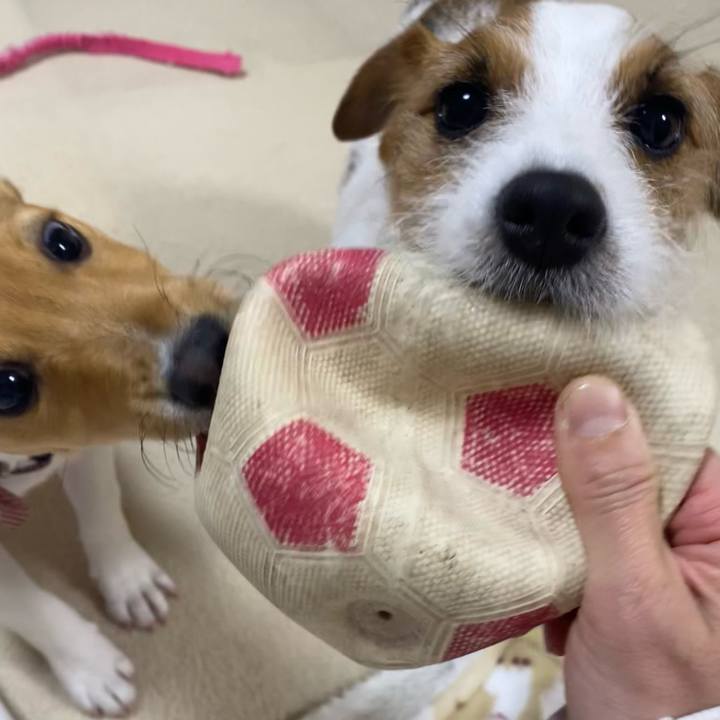 3c398d40 787d 4430 8d83 00bbea1b7ba9 1746872758805