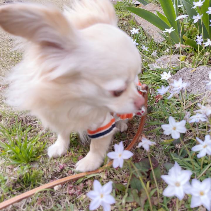 3c39a3c9 4873 448b b97d 018948ac0eeb 1744011133478