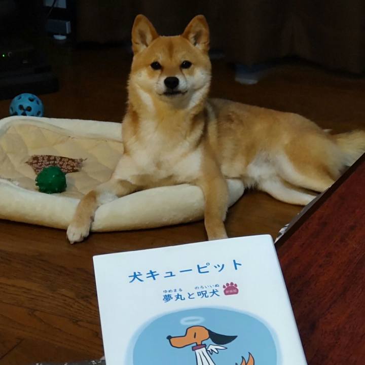 3c39a411 7b62 4bbf 839e 2344286016f4 1647940086862