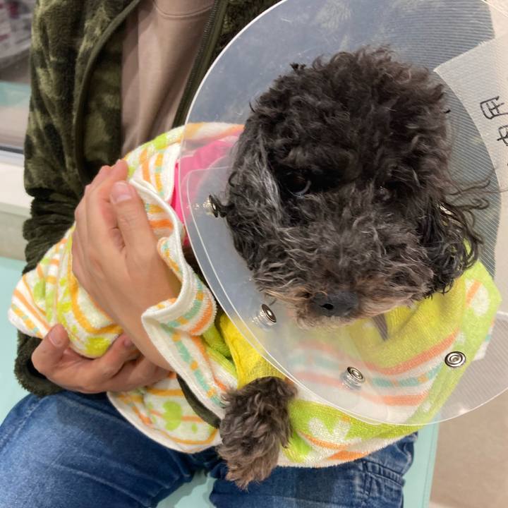 3c39b777 87fe 470a 84dc 1bdbc918342f 1637406268985