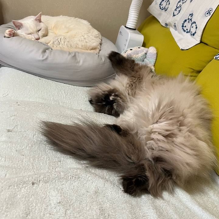 3c39cab7 4f97 44dc 91aa cc8ccd7b1f22 1712494134066