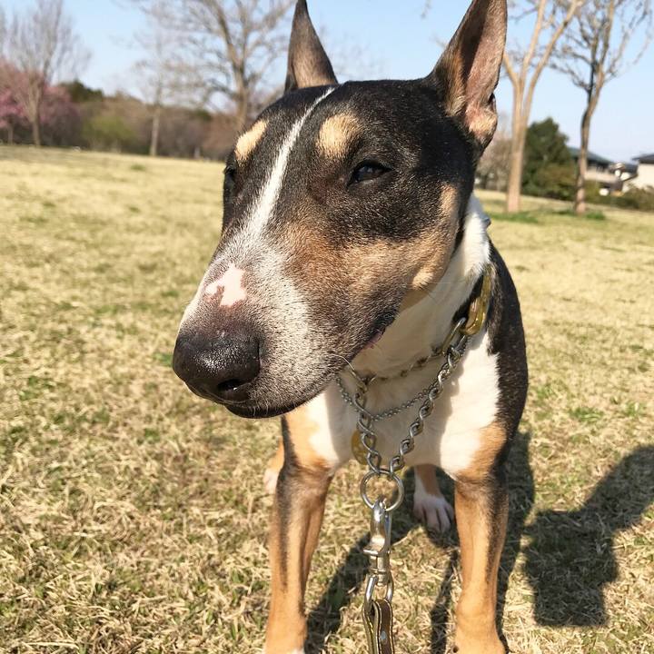 3c39ee49 0d54 4f21 acc8 098c6f1fa136 1521966541851