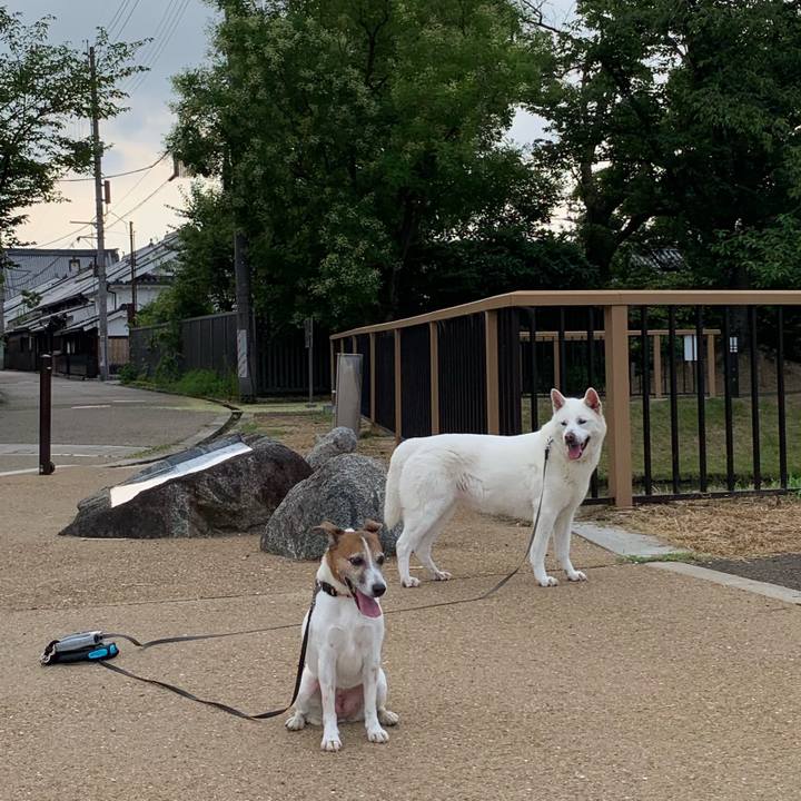 3c3a1c1a e8d7 49e3 b060 45b6982a05d9 1564785144226