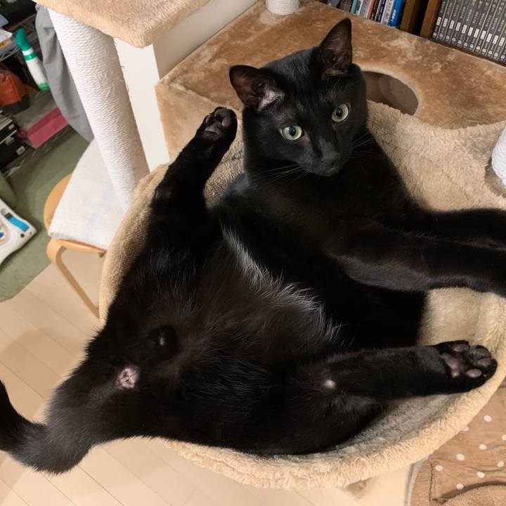 3c3a1c2d 5e53 4e83 b9cf c9637964f769 1666192558159