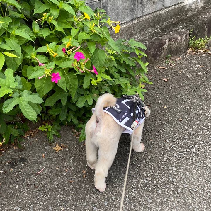 3c3a3f8f 0ae8 41a0 bba5 2e612c76551b 1598998307839