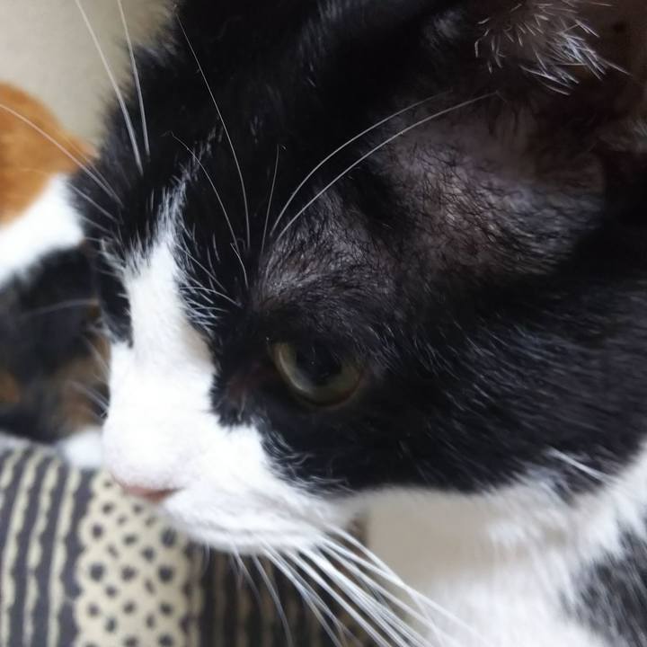 3c3abb60 1518 41f8 8ccd 315d8308860f 1570485445511