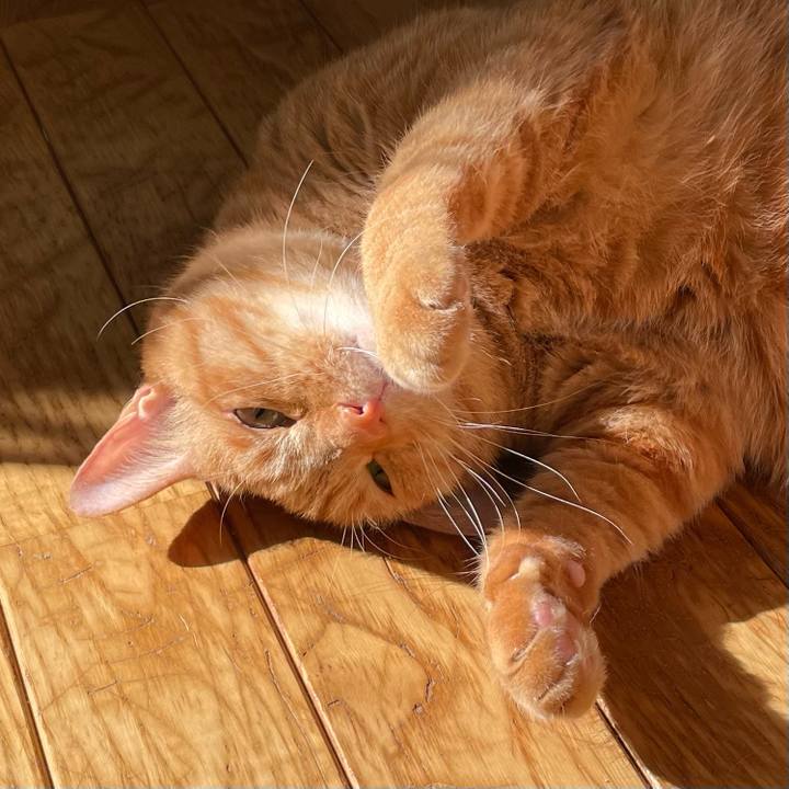 3c3ac3e3 1ee1 448d 84ba 55764ad03e91 1702069908070