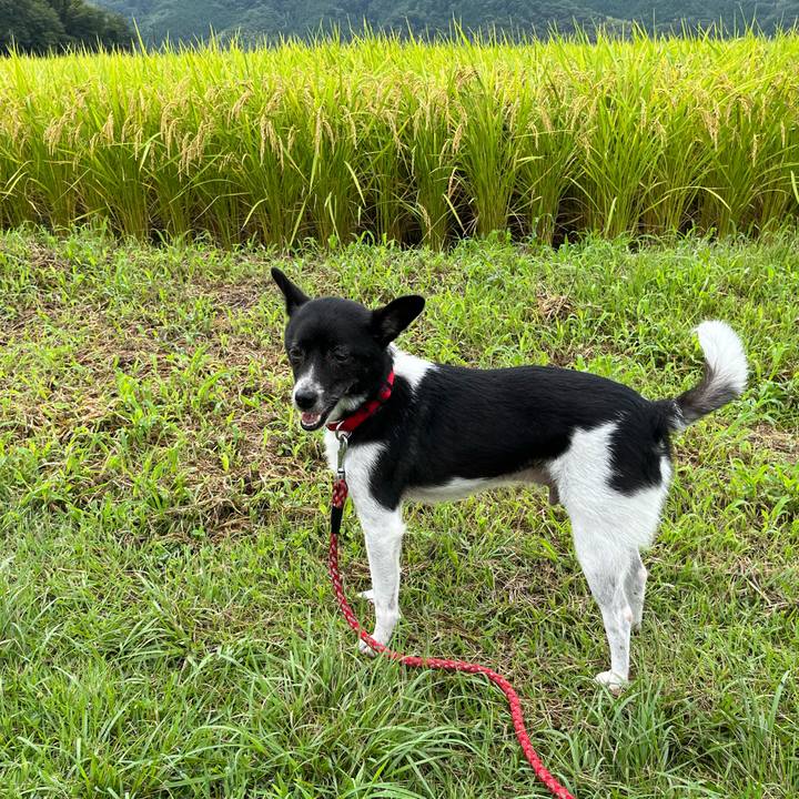 3c3ac90a dcbd 4a28 bf68 20f0c82df680 1661313250533