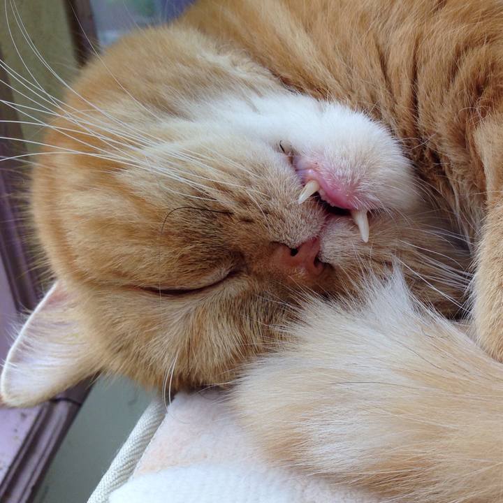 3c3b305c 3685 42a6 b1f1 9aa4ef76cf98 1511570930628