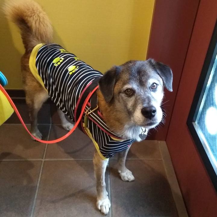 3c3b3177 0e1c 4d53 801e f958cddff8d1 1571268611466