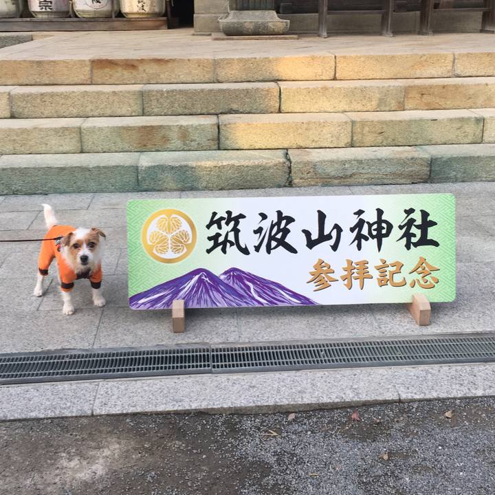 3c3b31d2 7a27 47f2 b8b9 0675fb916c8a 1511694400667