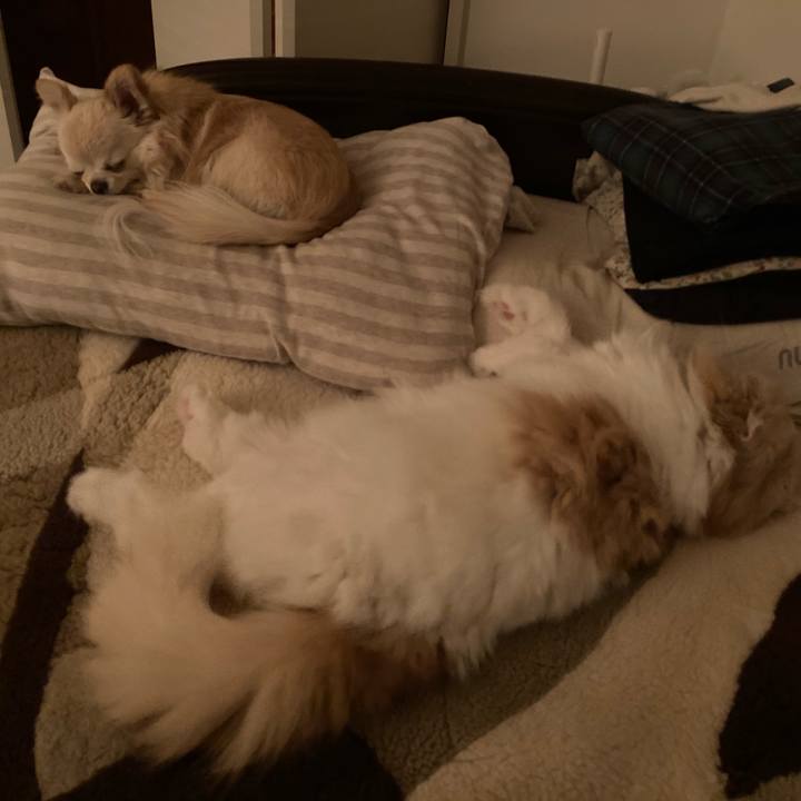 3c3b31e6 bcbf 40e7 9d2b 89c61a1559a2 1617200228992