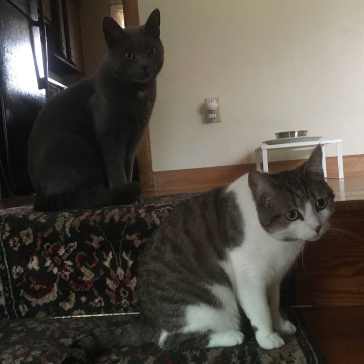 3c3b3fc7 dcd9 439f a327 574c249292b5 1618693644544