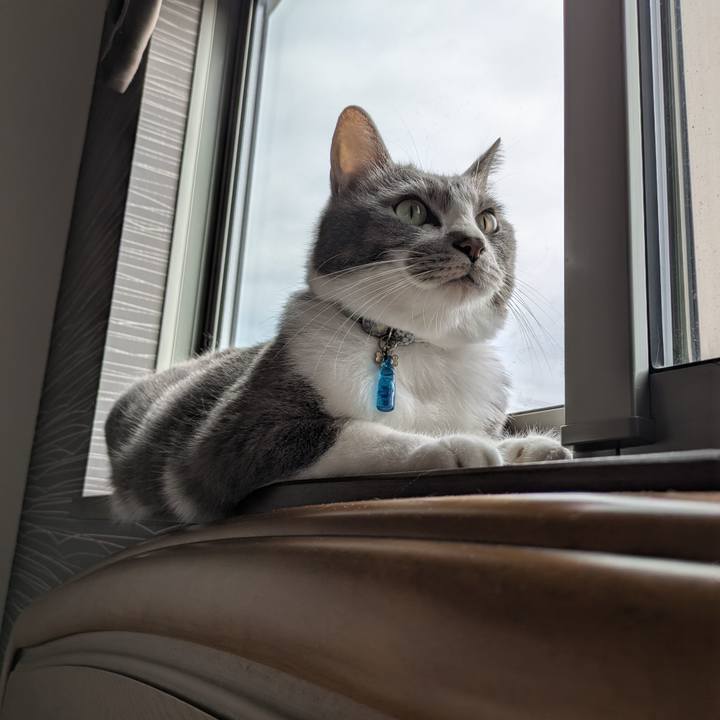 3c3b51c0 7fb9 4d87 ae14 18246f7b9039 1756341298283