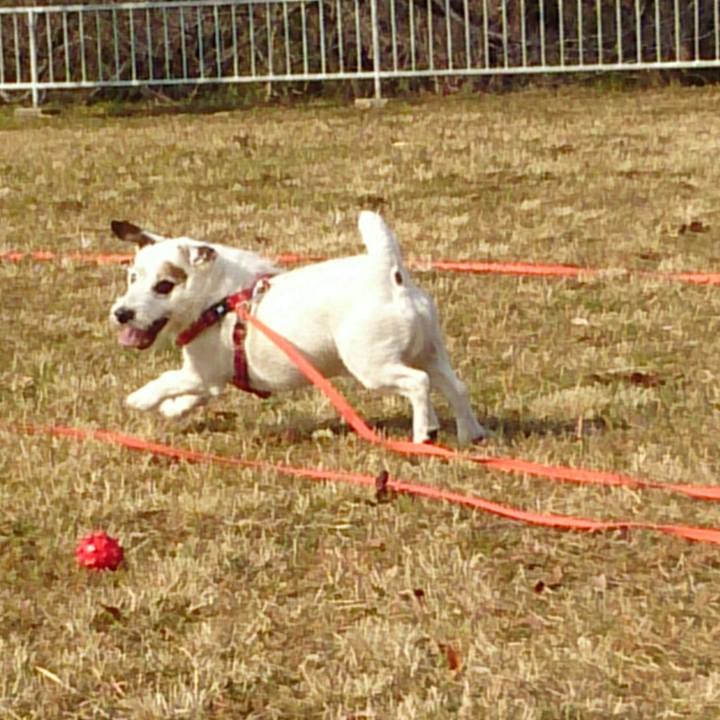 3c3b686d b9f8 4d22 9864 6dd537fbe53d 1517441230893