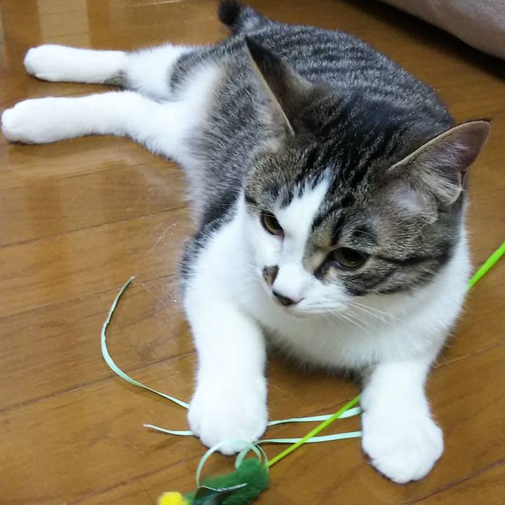 3c3b9533 c17b 40dc ae96 b81bf49666d8 1617278251344